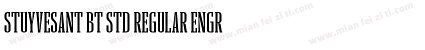 Stuyvesant BT Std Regular Engraved字体转换